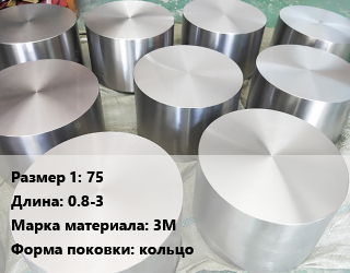 Титановая поковка 75 L=0.8-3 Марка: 3М кольцо, шт цена По запросу где купить, условия доставки в Алматы и Алматинской области